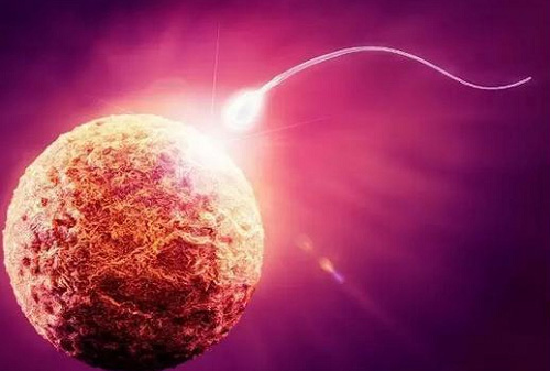 2022廣州第三代試管嬰兒成功率高不高？