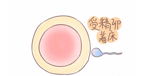 試管嬰兒移植后見紅是好事還是壞事？