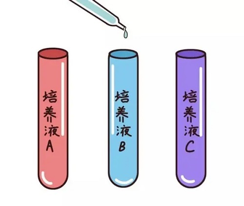 試管嬰兒能活到多少歲？壽命會很短？