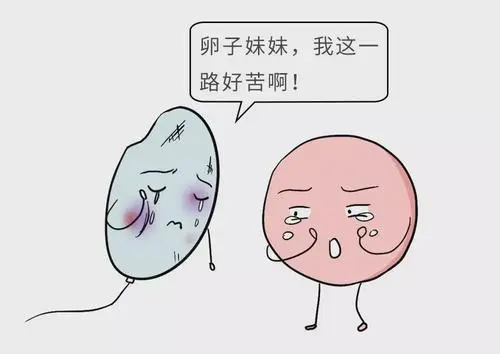 試管嬰兒移植反復(fù)失敗被騙了嗎？