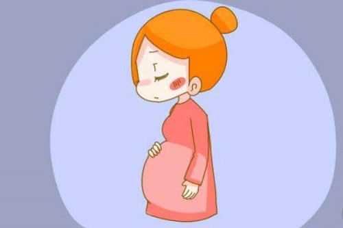 試管嬰兒移植前要怎樣調節身體？