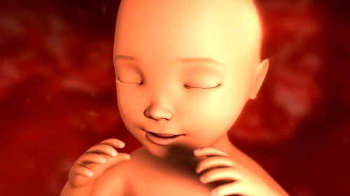 赴泰生子過程注意事項詳細來了！