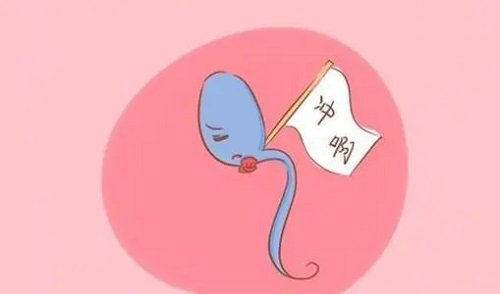 赴泰生子費用是多少？為什么有高有低？