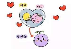 試管哪家醫(yī)院成功率最高