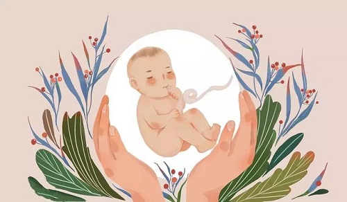 試管嬰兒得基本流程有什么?