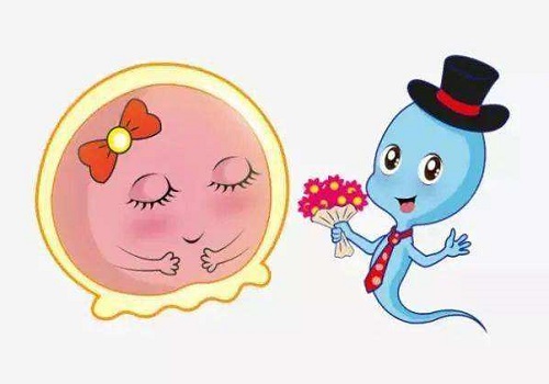 做試管嬰兒要多少錢
