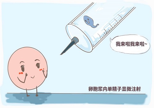 去美國做試管嬰兒怎么做準備
