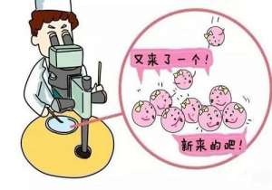 美國試管嬰兒步驟及費用是多少?